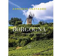 Borgogna. Le vigne della Côte d'Or