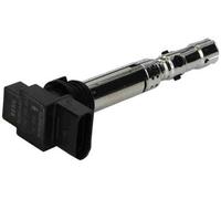 BorgWarner (BERU) Bobine d'allumage Article : ZSE059