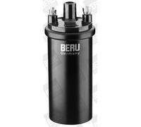 BORGWARNER (BERU) Régulateur d'alternateur GER035 pour NISSAN PRIMERA (P10)