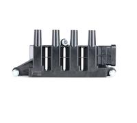 BorgWarner (BERU) ZS079 Bobine d'allumage pour FORD KA 3 portes (RU8)