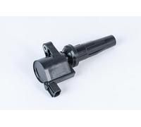 BorgWarner (BERU) ZS592 Bobine d'allumage 1 Compatible avec FORD Ranger Mk3 TKE Kuga Mk2 DM2 C-Max II DXA/CB7, DXA/CEU Mondeo Mk5 Break CF Mondeo Mk5 Berline CD