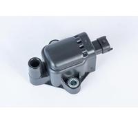 BorgWarner (BERU) ZS593 Bobina de encendido