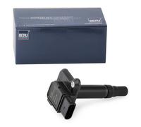 Beru ZSE009 Bobine d'allumage pour AUDI A3 A6 A8 TT + VW GOLF 4 BEETLE SEAT SKODA OCTAVIA