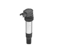 BorgWarner (BERU) ZSE229 Bobina de encendido