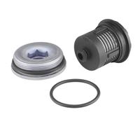 BorgWarner DS120456 Filtre hydraulique, embray. multidisque (4 roues motrices) p