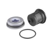 BorgWarner DS120456 Filtre hydraulique embrayage haldex avec accessoires avec joint d'étanchéite avec cache Arrière