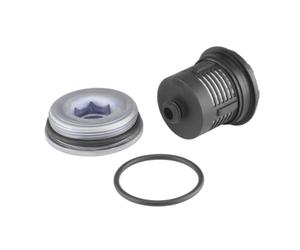BorgWarner Filtre hydraulique, embrayage à lamelles (4 roues motrices | DS120456 compatible avec A3 TT Altea