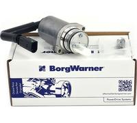 Borgwarner Pompe hydraulique Pompe de précharge DS118574 pour Audi Seat Skoda VW