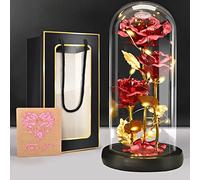BoriYa Rose Eternelle sous Cloche avec LED-Idee Cadeau Femme,Rouge Fleur éternelle la Belle et la Bête,Eternel Rose in Glass Dome,Original Cadeaux Femme pour Fête des Mères,Anniversaire,Saint Valentin