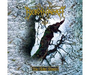 Borknagar - The Olden Domain