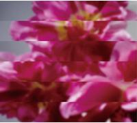 Born Again And Again. [Import Japonais]