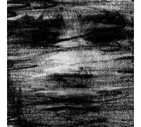 Born Erased - Birds Drink My Blood