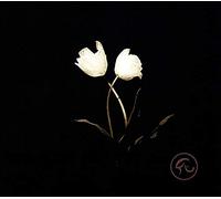 Born for Bliss - Innocent-EP [Import]