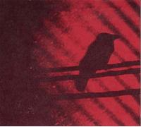 A Silver Mt. Zion - Born Into Trouble As the Sparks Fly Upward [New Vinyl LP]