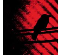 Born Into Trouble As the Spark [Import allemand]