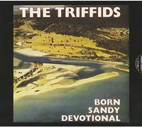 Born Sandy Devotional