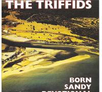 Born Sandy Devotional