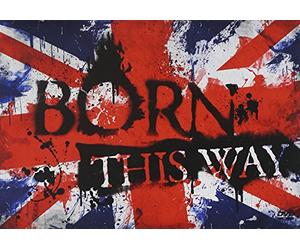 BORN THIS WAY~LIVE&DOCUMENT from TOUR 2013「Devilish of the PUNK」~ [DVD]
