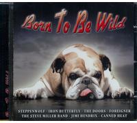 Artistes variés – Born to Be Wild – 16 Greatest Rock Songs – Import – Falcon