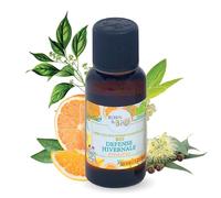 Born to Bio Complexe aux Huiles Essentielles BIO : Défenses Hivernales - Huiles Essentielles pour Diffuseur - Certifié EcoCert - 30ml