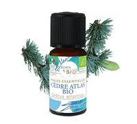 BORN TO BIO Huile Essentielle Cèdre de l'Atlas Bio - 100% Pure et Naturelle - Propriétés Décongestionnantes et Cosmétiques - Certifié EcoCert - 10ml
