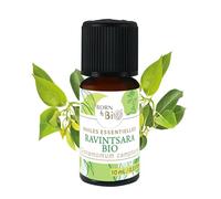 BORN TO BIO Huile Essentielle Ravintsara Bio - 100% Pure et Naturelle - Propriétés Antivirales et Immunostimulantes - Certifié AB - 10ml