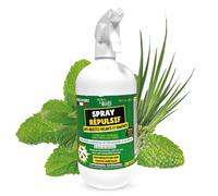 BORN TO BIO Spray Repulsif Insectes aux Huiles Essentielles Bio - Anti-insectes volants et rampants - Repousser les Insectes Sans les Tuer - Anti Puces, Punaises de Lit, Mices et Acariens - 1L