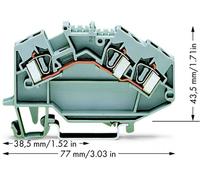 Borne de passage WAGO 781-631 6 mm ressort de traction Affectation: L gris 50 pc(s)