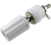 Borne de polarité Ø stylo (détails): 4 mm Cliff CL1509 blanc 15 A