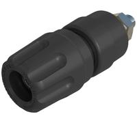 Borne de polarité Ø stylo (détails): 4 mm Hirschmann Test & Measurement PKI 10 A 930103100 noir 35 A