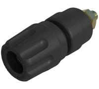 Borne de polarité Ø stylo (détails): 4 mm Hirschmann Test & Measurement PKI 10 A Au 930103700 noir 35 A 1 pc(s)