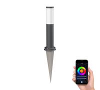 Borne d'éclairage PORU avec piquet de terre pour l'extérieur IP44 39cm