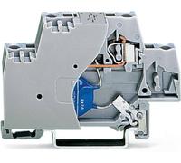 Borne dextrémité WAGO 280-502/281-588 10 mm ressort de traction Affectation: L gris 50 pc(s)