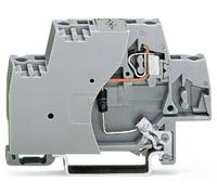 Borne d'extrémité WAGO 280-502/281-589 10 mm ressort de traction Affectation: L gris 50 pc(s)