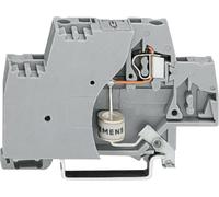 Borne d'extrémité WAGO 280-504/281-617 10 mm ressort de traction Affectation: L gris 50 pc(s)