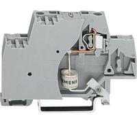 Borne dextrémité WAGO 280-504/281-617 10 mm ressort de traction Affectation: L gris 50 pc(s)