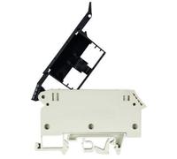 Borne fusible 57.904.5355.0 Wieland Electric Contenu: 1 pc(s)