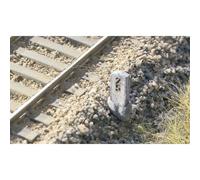 Borne Kilométrique Mbz 84007 Modèle Découpé Au Laser N 1 Set-Mbz
