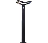 Borne lumineuse à LED Paulmann 94794 Alara LED 10 W anthracite