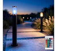Borne Lumineuse Außenstehlampe Jardin Dimmable Télécommande RGB LED 2er Set
