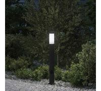 vidaXL Borne lumineuse avec sortie 80 cm en acier inoxydable IP44 4006037