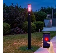 Lampe sur pied Éclairage extérieur Lampadaire avec détecteur de mouvement Jardin Acier inoxydable, commande par app, 1x Smart RGB LED 10W 806Lm, DxH 7,6x110 cm