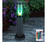 Borne Lumineuse Extérieure Lampadaire RGB LED Télécommande Dimmable Anthracite