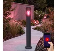 Lampadaire en acier inoxydable lampadaire de jardin d'extérieur anthracite fumé, contrôle par application dimmable, 1x Smart RGB LED 10W 806Lm blanc chaud, DxH 7,6x80 cm
