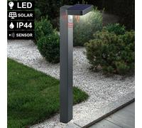 Borne Lumineuse Lampadaire Détecteur Lampe D'Extérieur LED Cour Inox H 60 CM