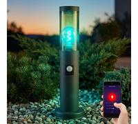 Borne Lumineuse Lampadaire Extérieure Smart LED Google Alexa RGB Détecteur