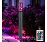 Lampadaire en acier inoxydable lampadaire de jardin d'extérieur anthracite fumé, télécommande dimmable, 1x LED RGB 8,5W 806Lm blanc chaud, DxH 7,6x80 cm