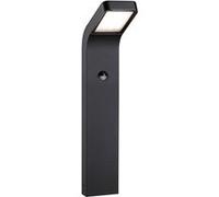 Paulmann Éclairage d'allée Kulma 94747 Poller PIR LED 7,5 W Anthracite