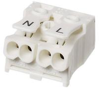 Borne pour luminaires Adels-Contact LK 980-01/2B 21714 flexible: -2.5 mm² rigide: -2.5 mm² Nombre de pôles: 2 blanc