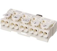 Borne pour luminaires Adels-Contact LK 980-01/5 B 21806 flexible: -2.5 mm² rigide: -2.5 mm² Nombre de pôles: 5 blanc